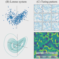 Equilibrium flow: From Snapshots to Dynamics