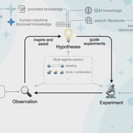 Exploring the role of large language models in the scientific method: from hypothesis to discovery