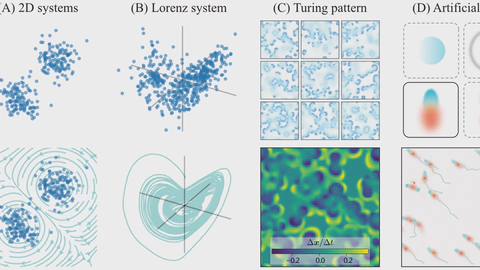 Equilibrium flow: From Snapshots to Dynamics